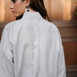 Silver Charm - Image 5